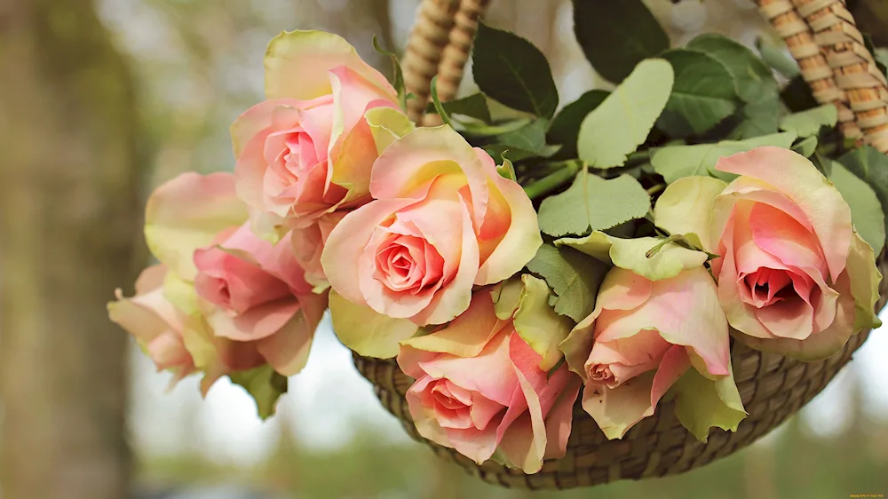 A bouquet of flowers similar to peonies