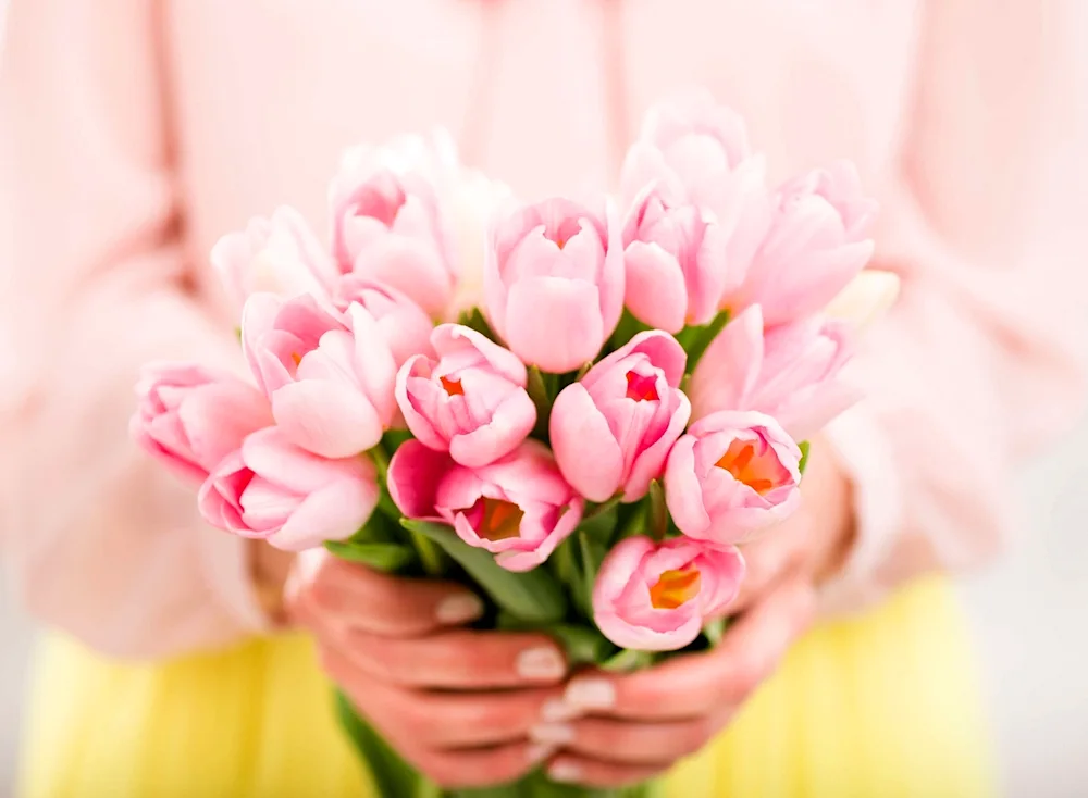 Bouquet of daisies in the hand