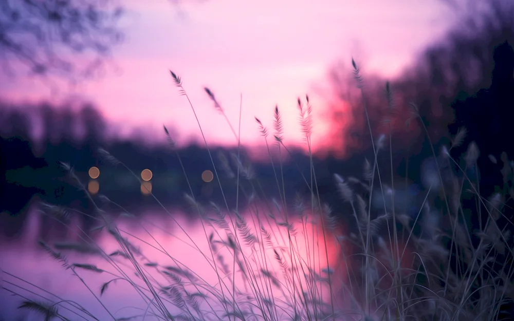 Gentle sunset