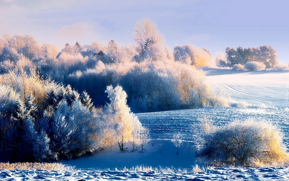 Nice winter landscape