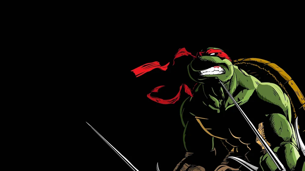 Ninja Turtles 2003 Raphael