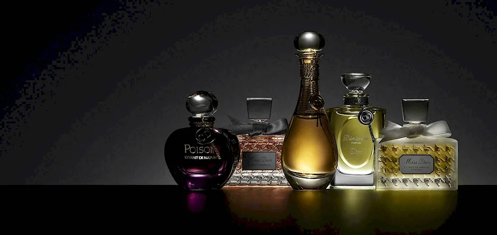 Niche perfume brands Christian dior