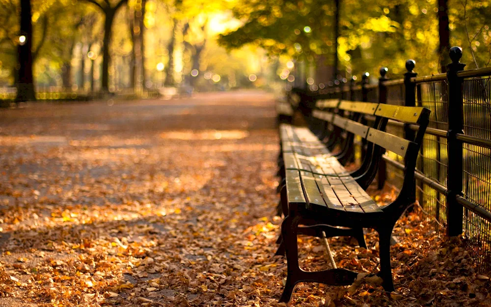 New York Park Benches