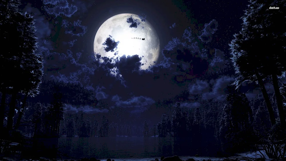 Night Landscape