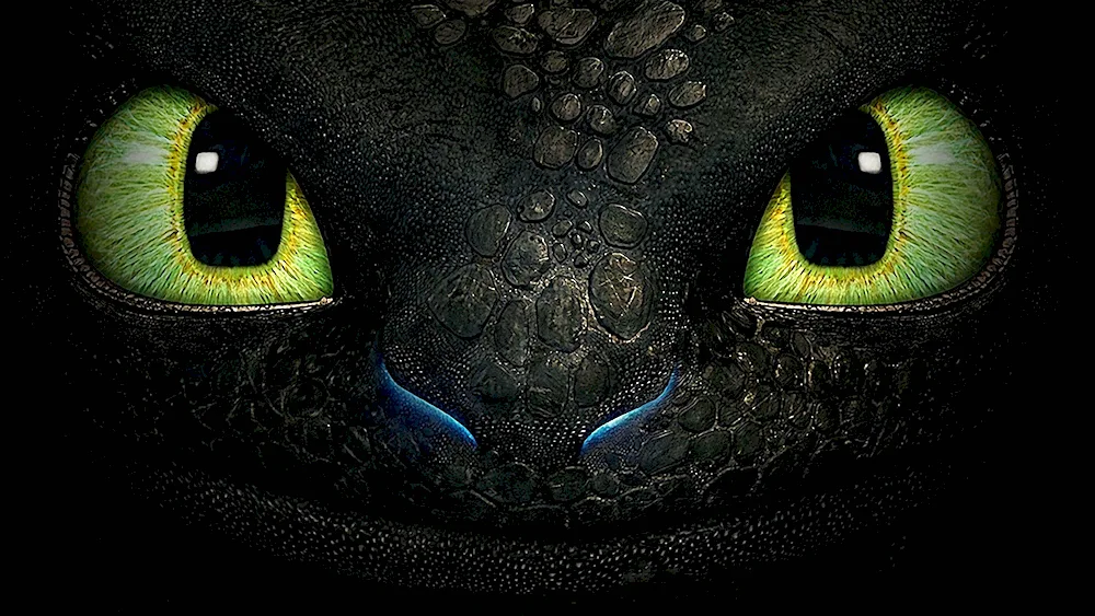 Night Fury Toothless