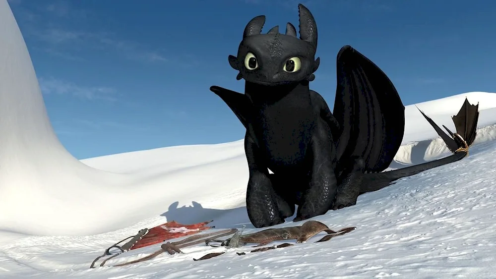 Night Fury Toothless Fury