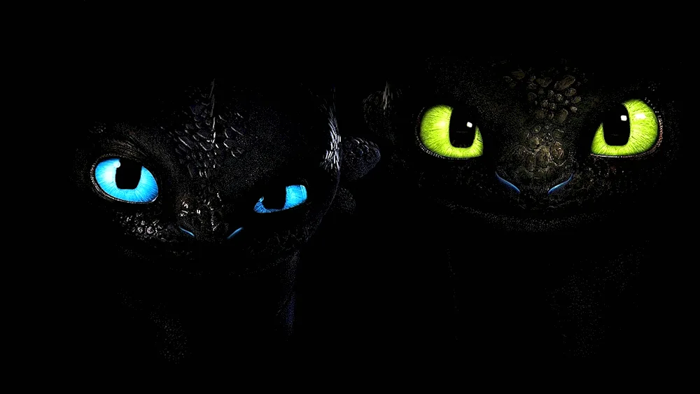 Night Fury toothless