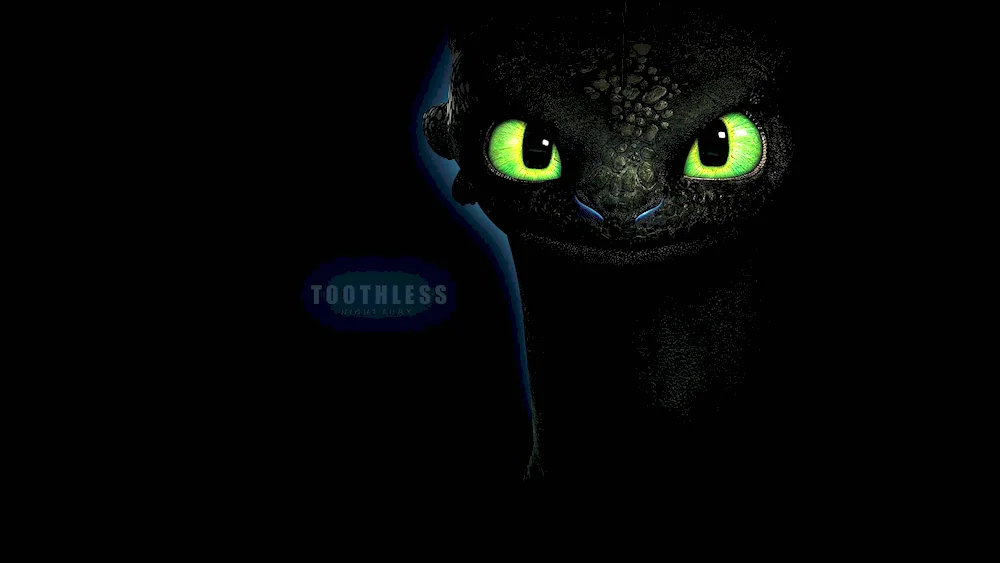 Night Fury Toothless