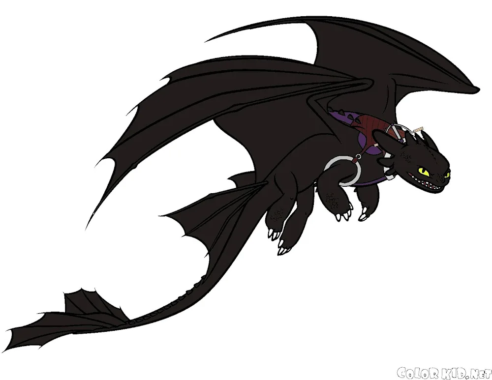 Toothless Dragon