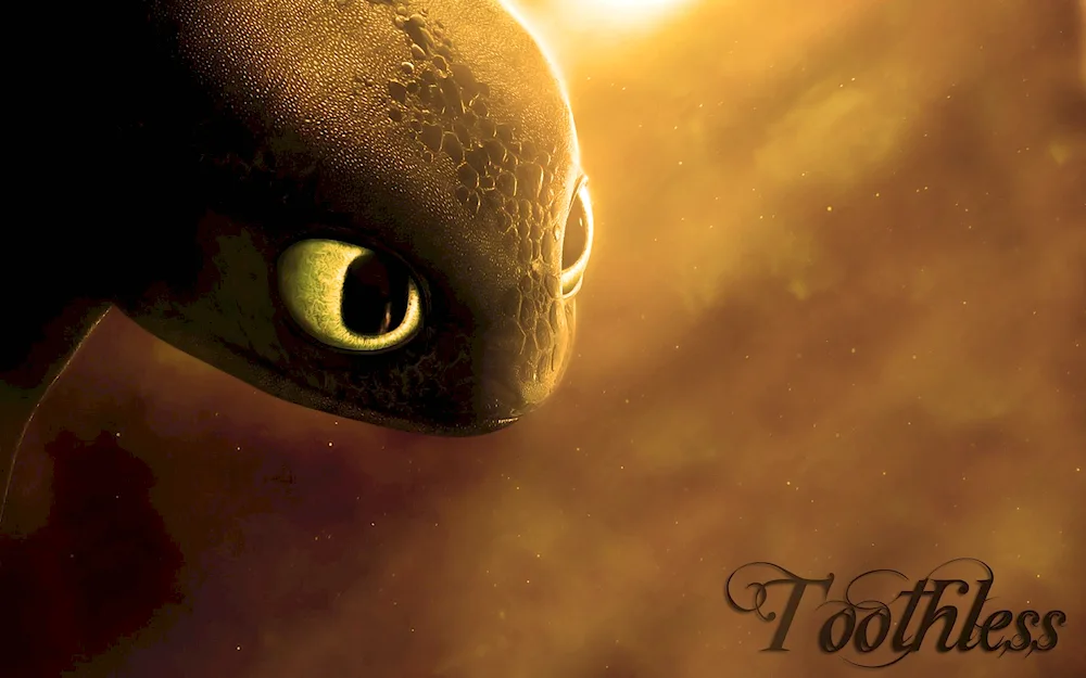 Night Fury toothless