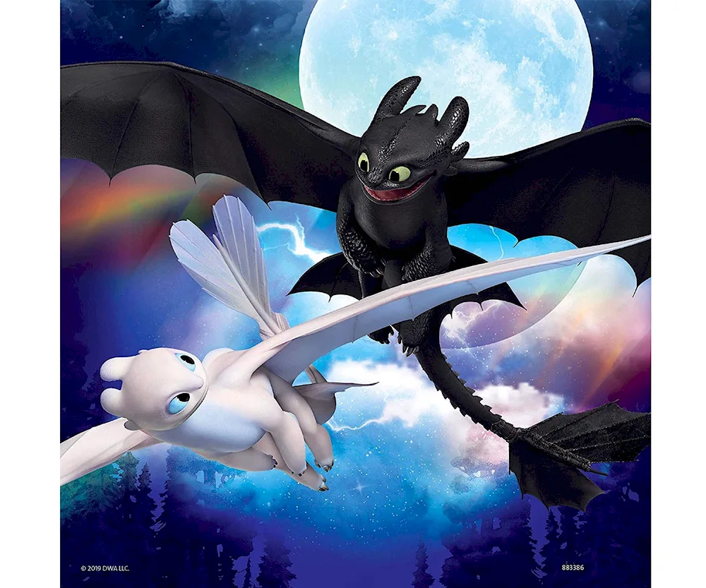 Nighttime Fury Fury dragon cartoon