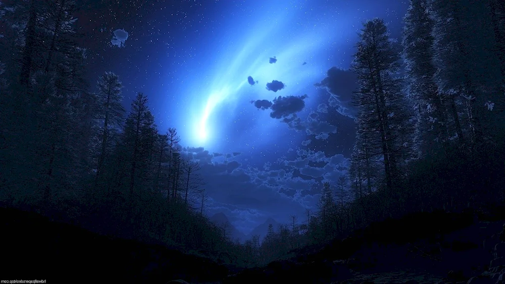 Night Landscape