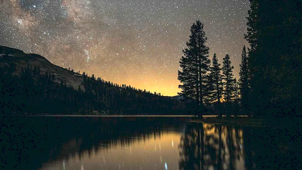 Night Landscape