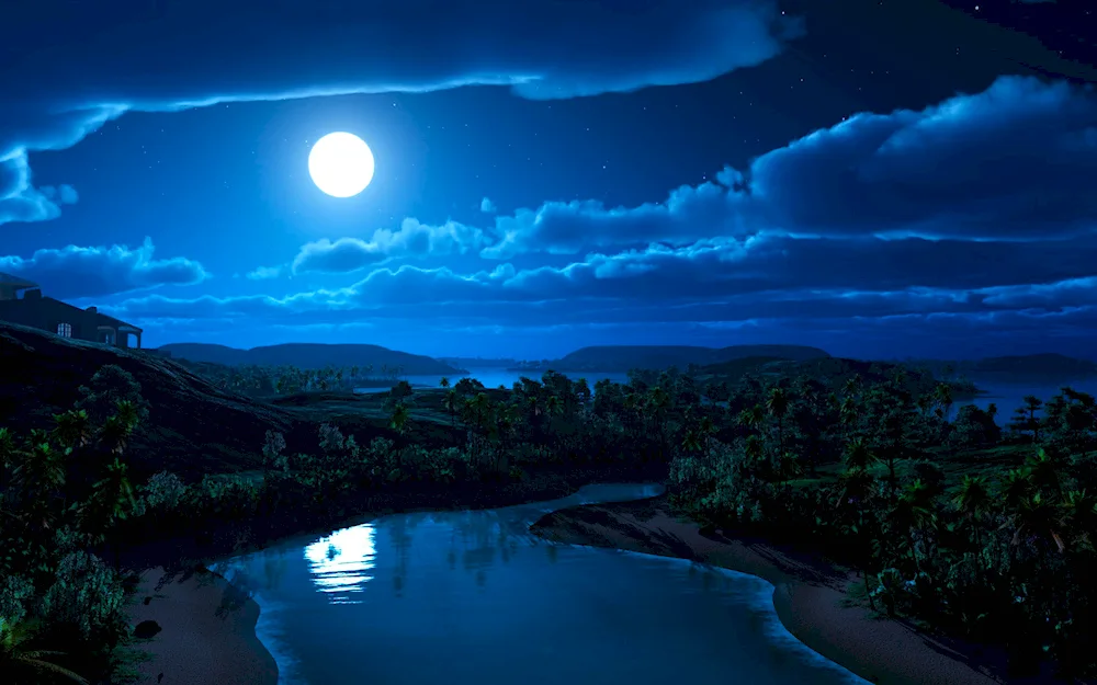 Night landscape