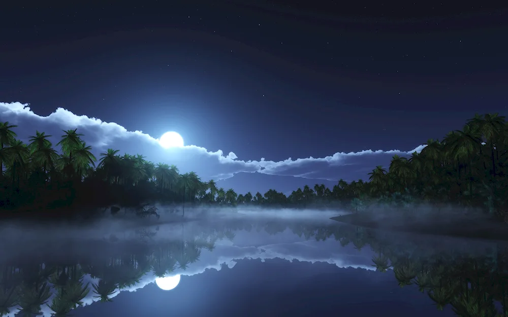 Night Forest