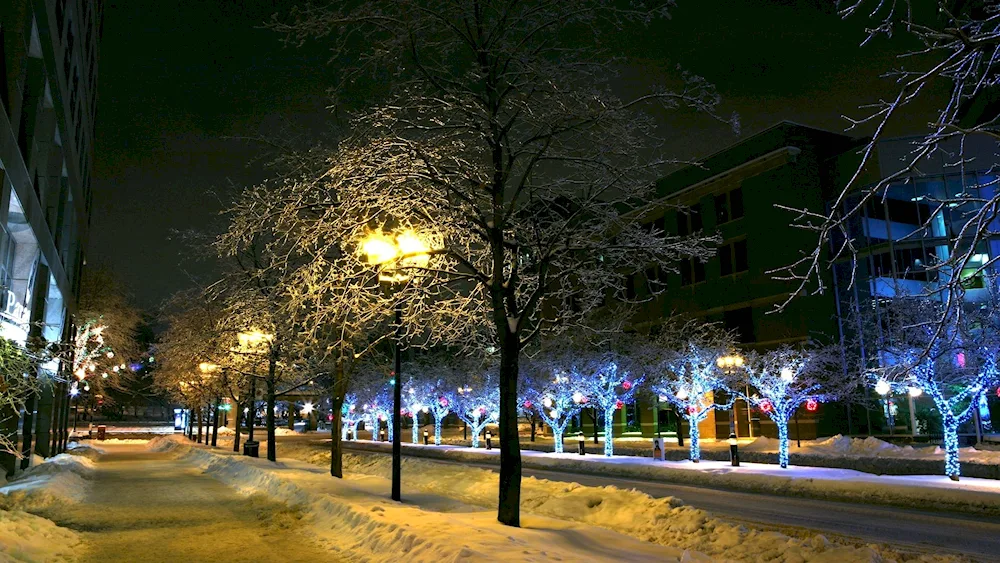 New York winter night