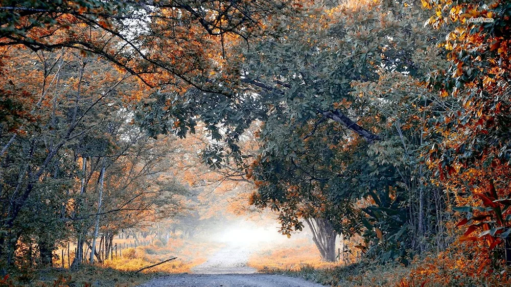 Sunny winter