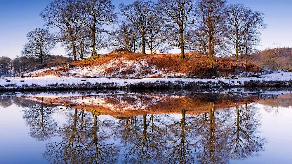 Autumn leaves in snow