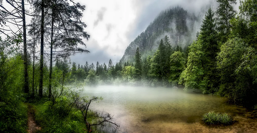 Norway mountains forest fog 4k