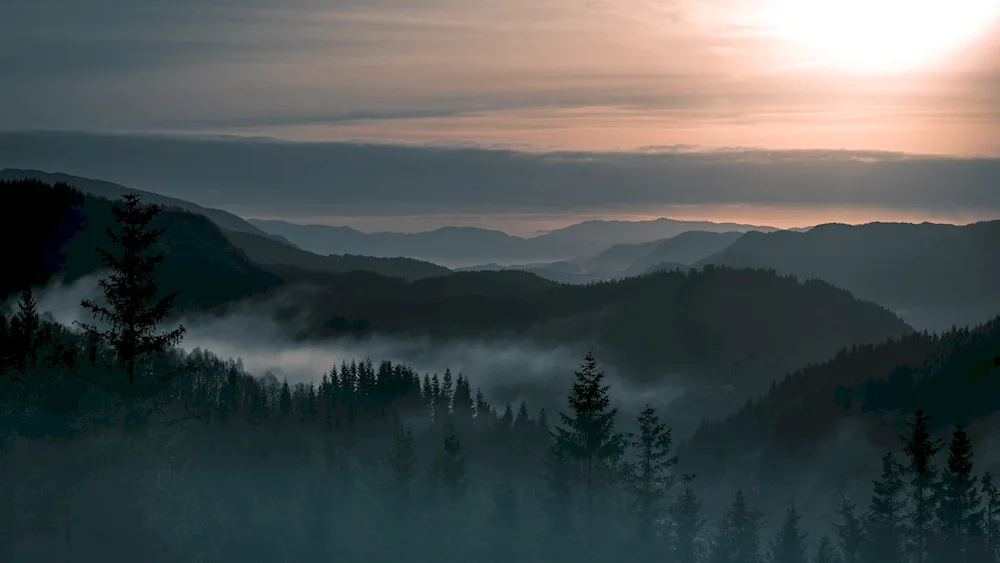 Norway mountains forest fog forest 4k