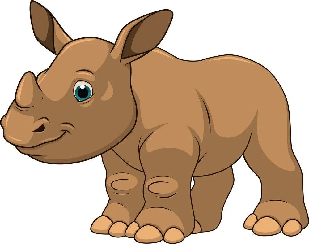 Rhinoceros for kids Kids