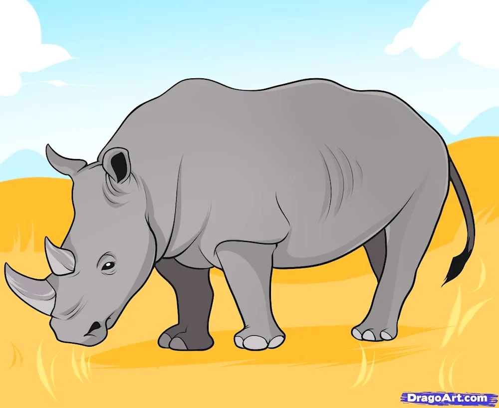 Rhinoceros for kids