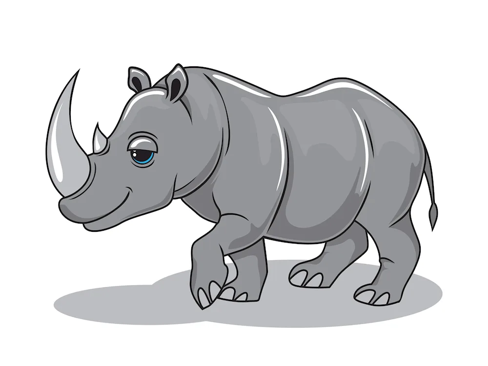 Rhinoceros for kids