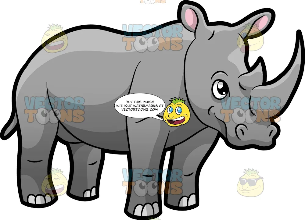 Rhinoceros for kids