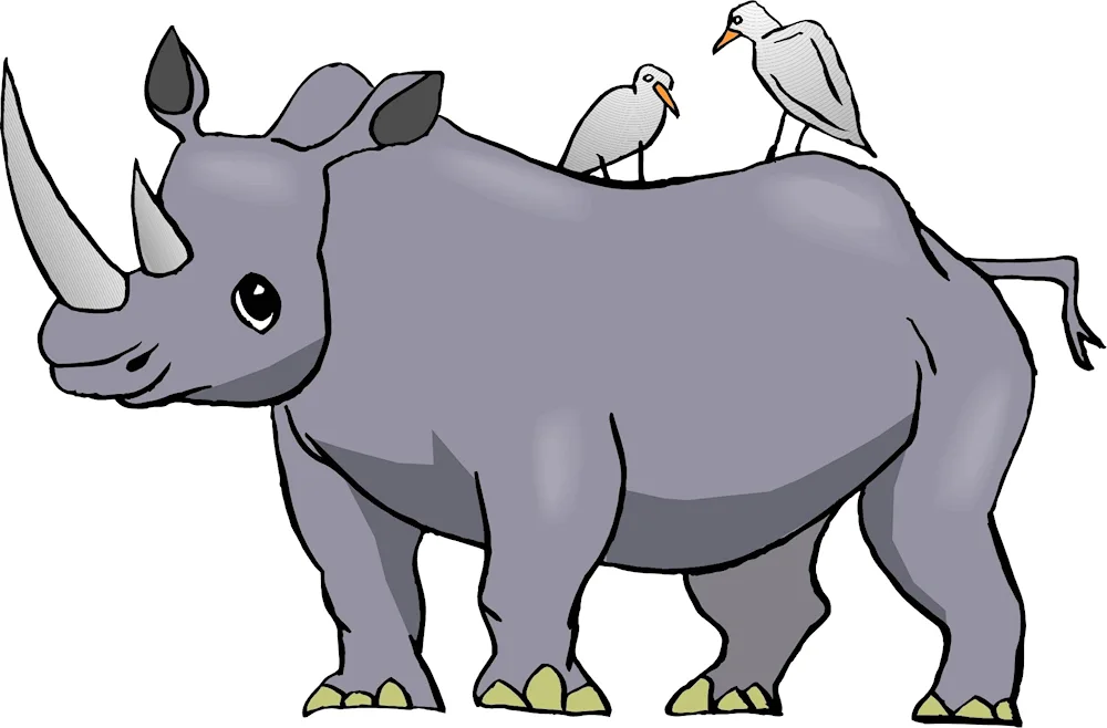 Rhinoceros for kids