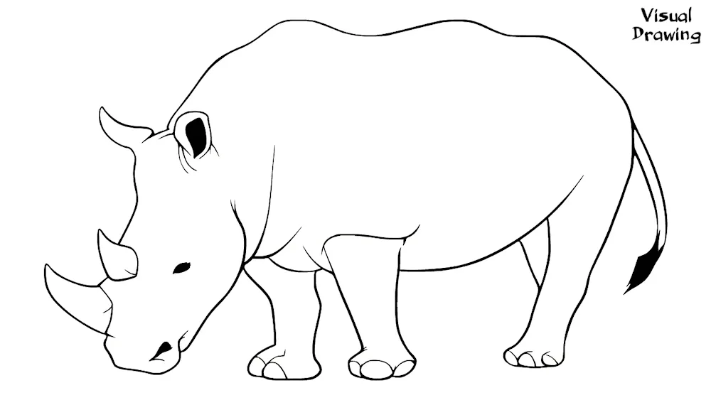 Rhinoceros drawing