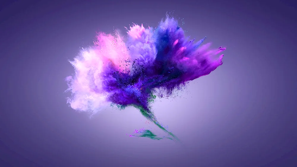Honore MAGICBOOK purple laptop George Atherton