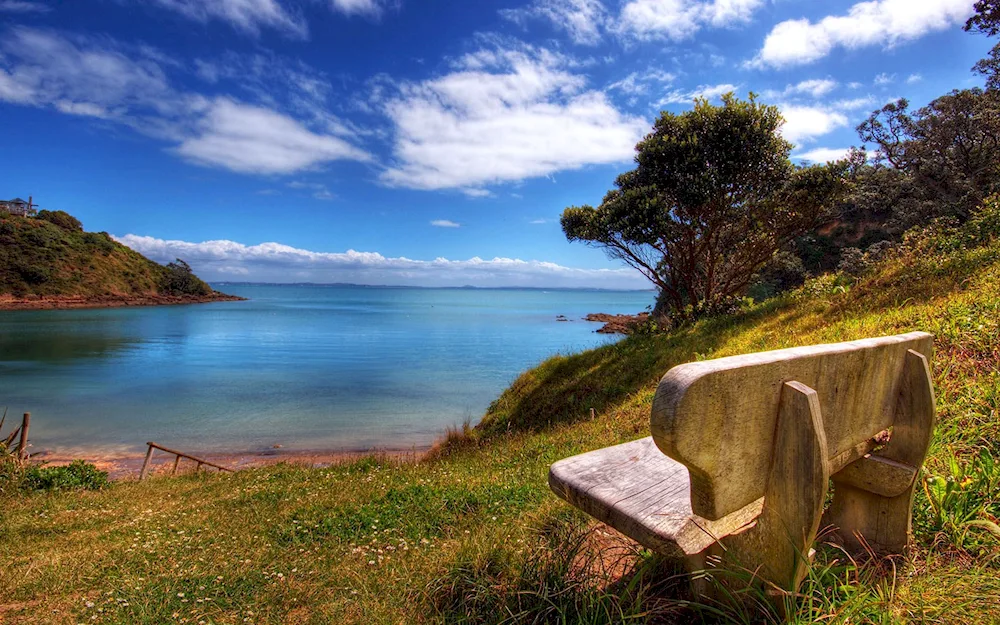 New Zealand landscape with a house