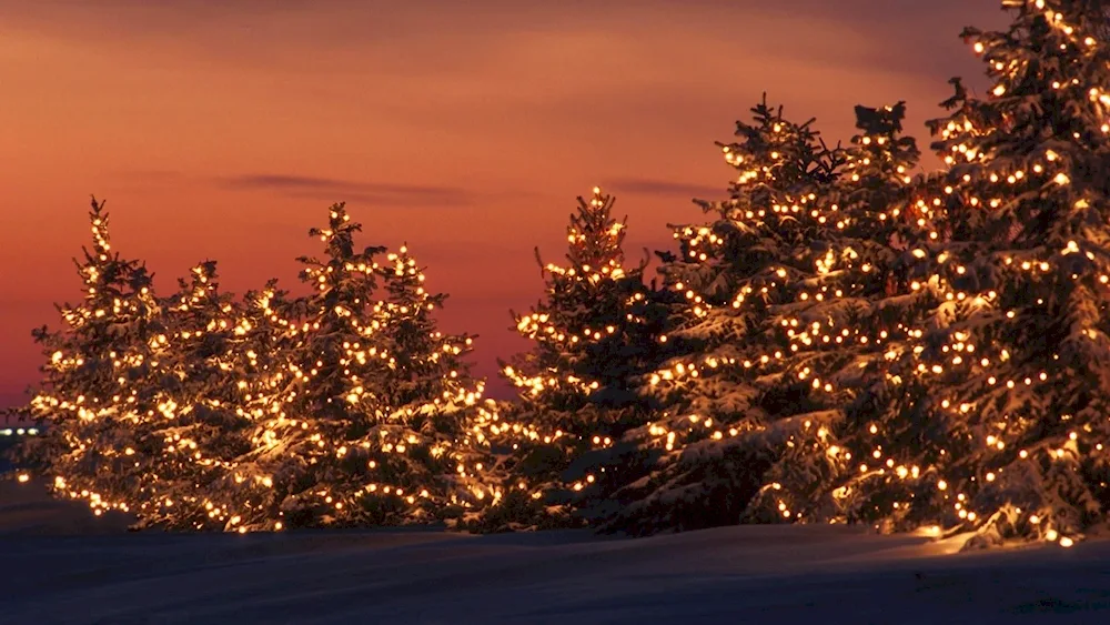 Carpathian Courchevel