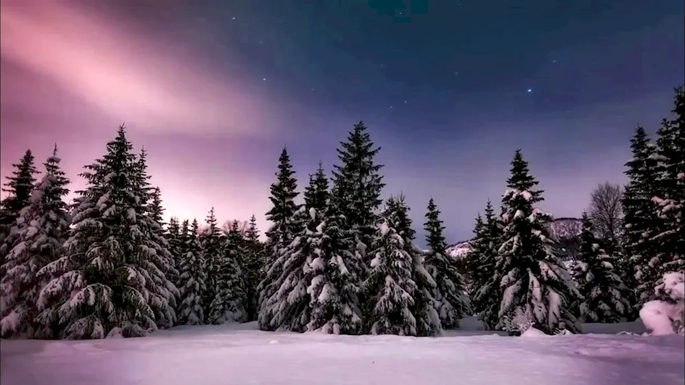 New Year's nature
