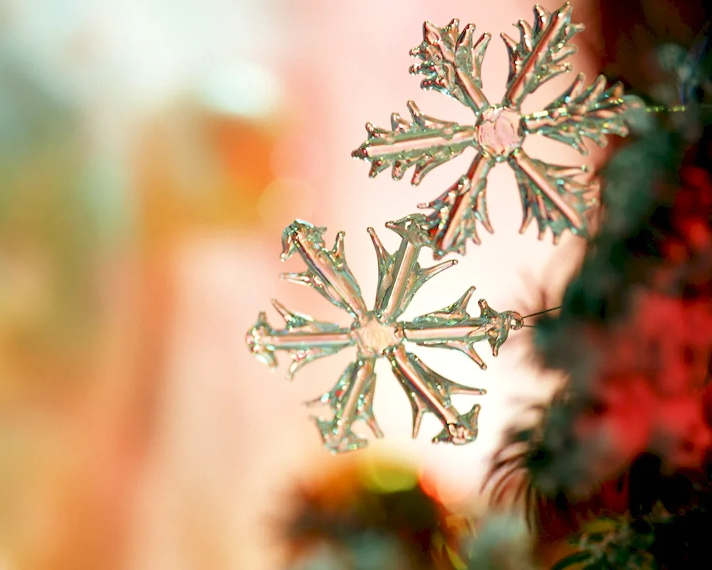 Winter snowflakes