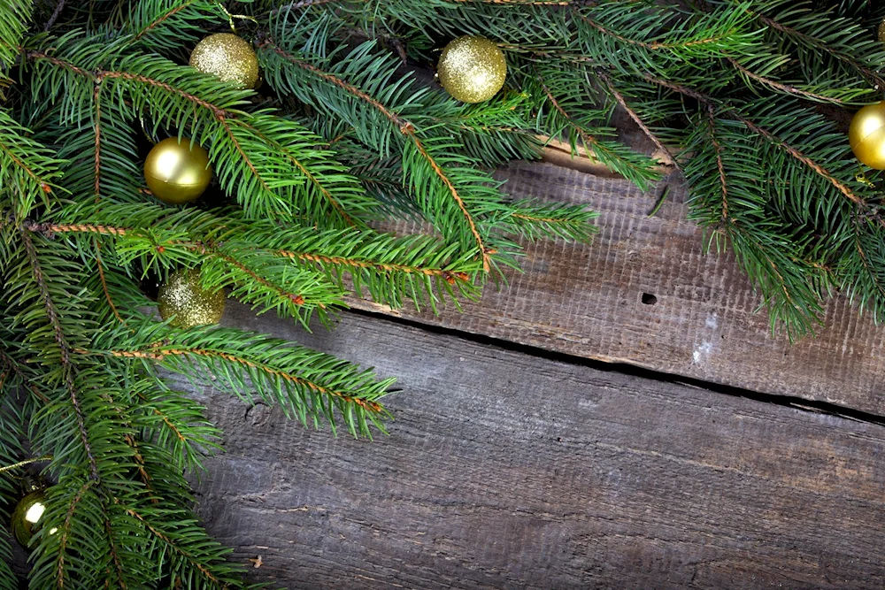 New Year's tree on black background