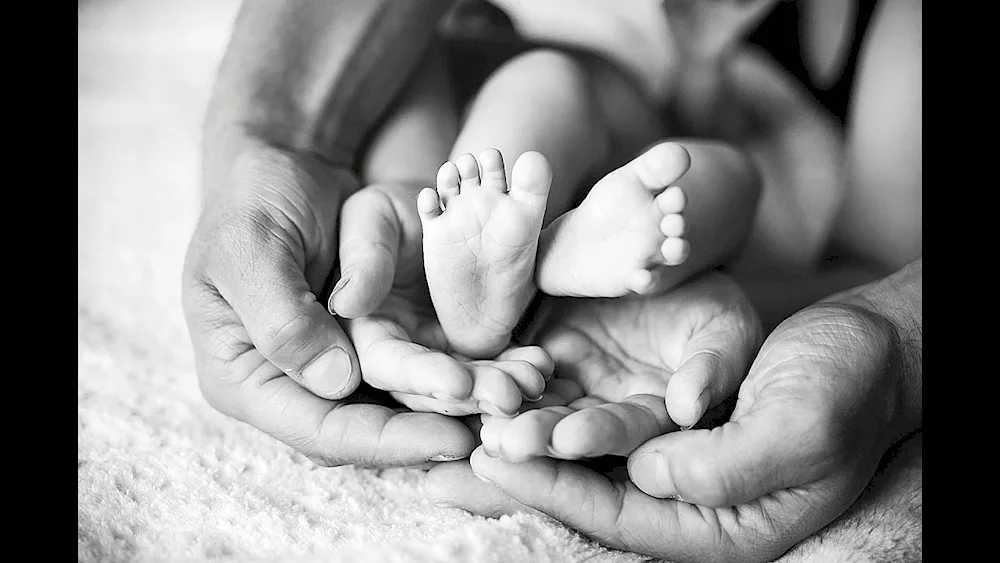 Child and adult hand