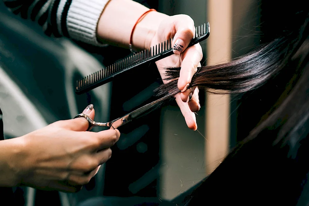 Cutting Scissors