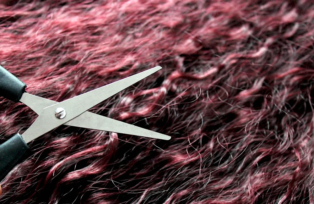 Cutting scissors
