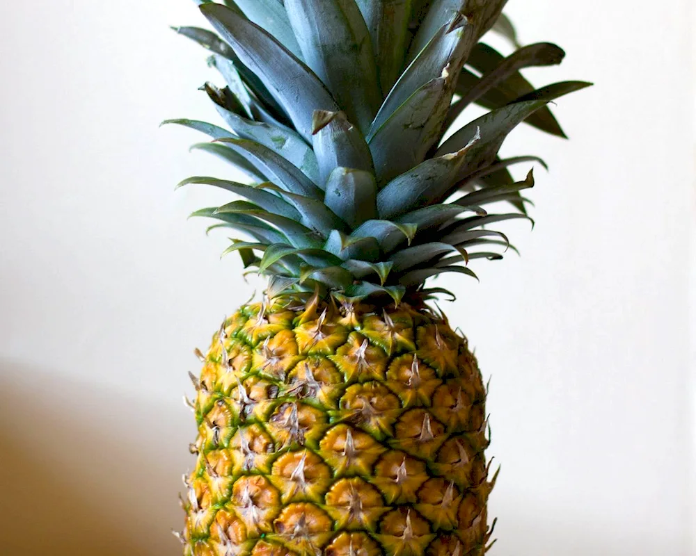 Nuch pineapple