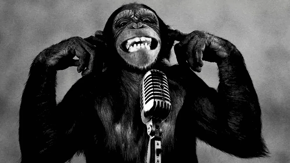 Monkey. sings