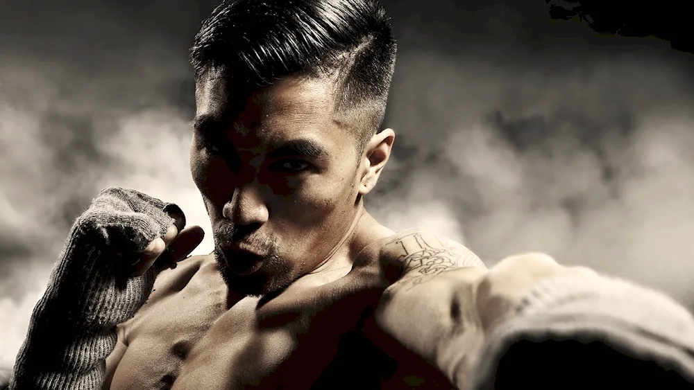 Brad Pitt Fury