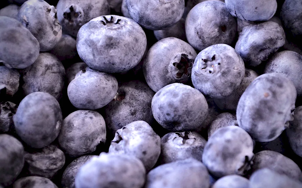 Oboe fruits