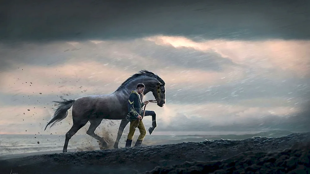 Andalusian Crow horse