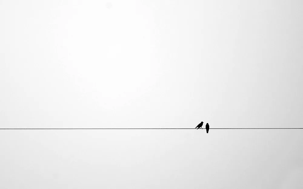 Minimalism wallpaper