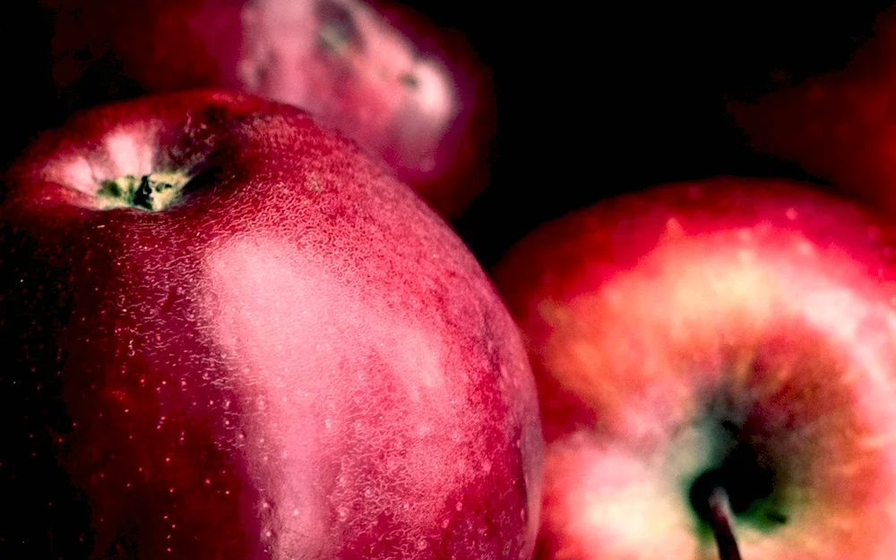 Apple variety apple