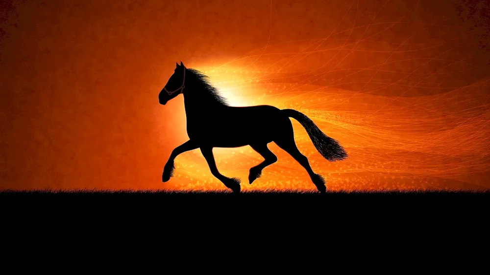Beautiful horses