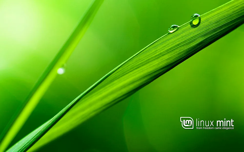 Green desktop wallpaper