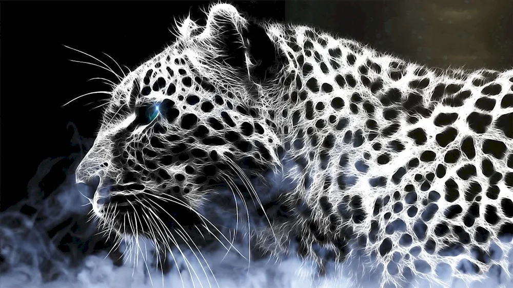 Animal desktop wallpaper