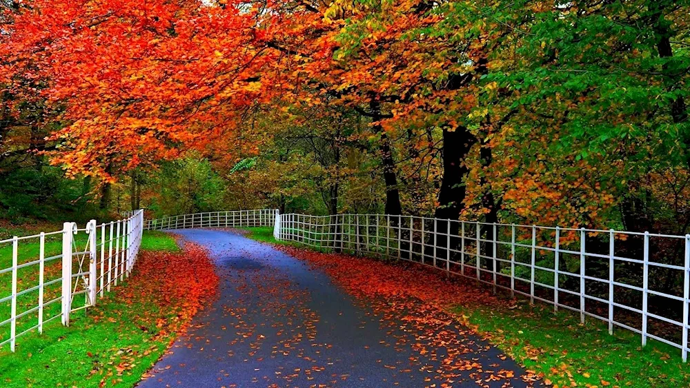 Autumn in the city